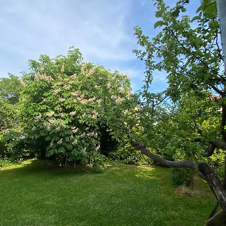 Daire Louvre Mariánské Lázně