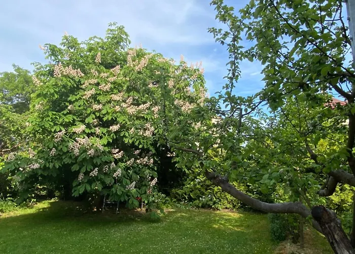 Appartement Louvre Mariënbad